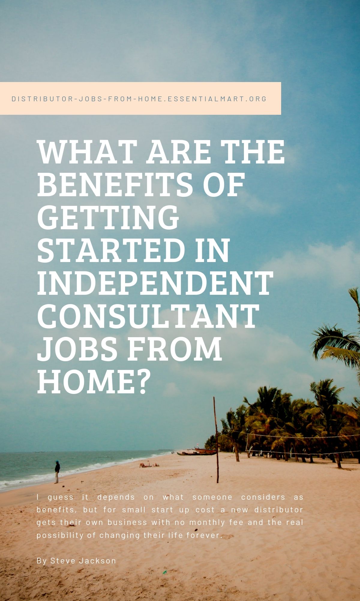 Independent consultant jobs from home